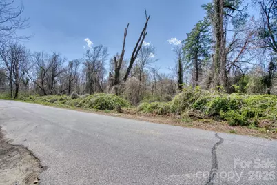 Tbd Toms Hill Drive, Hendersonville, NC 28792 - Photo 6