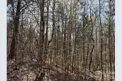 6223 Twining Vine Court, Kannapolis, NC 28081 - Photo 4