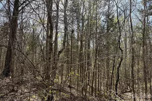 6223 Twining Vine Ct, Kannapolis, NC 28081 - Photo 4