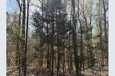 6223 Twining Vine Court, Kannapolis, NC 28081 - Photo 2