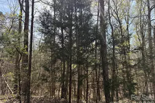 6223 Twining Vine Ct, Kannapolis, NC 28081 - Photo 2