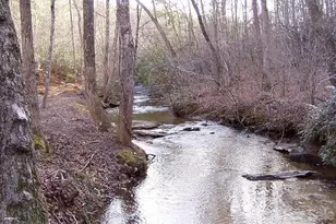 476 Double Eagle Dr, Nebo, NC 28761 - Photo 46