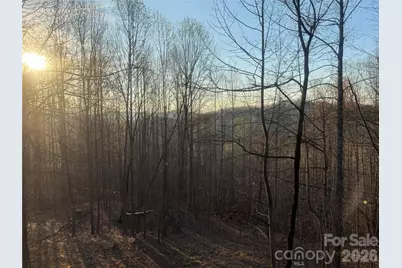 476 Double Eagle Drive, Nebo, NC 28761 - Photo 12