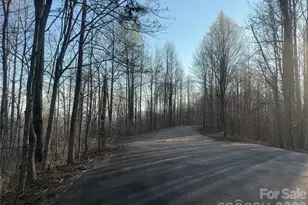 476 Double Eagle Dr, Nebo, NC 28761 - Photo 38