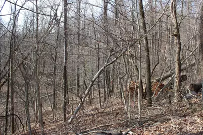 Lot 20 Sunset Ridge Drive #20, Columbus, NC 28722 - Photo 18