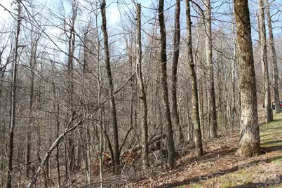 Lot 20 Sunset Ridge Drive #20, Columbus, NC 28722 - Photo 16