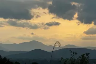 486 Cardwell Ln, Fletcher, NC 28732 - Photo 34