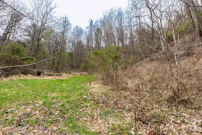 294 Ball Drive, Marshall, NC 28753 - Photo 24