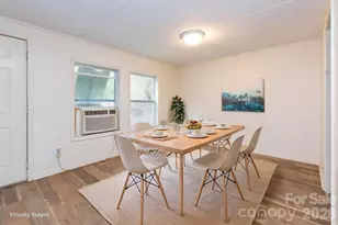 294 Ball Dr, Marshall, NC 28753 - Photo 10