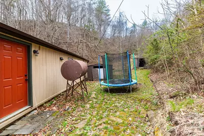 294 Ball Drive, Marshall, NC 28753 - Photo 20