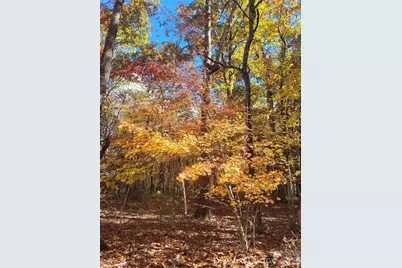 160 Winsome Forest Drive, Nebo, NC 28761 - Photo 32