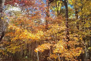 160 Winsome Forest Dr, Nebo, NC 28761 - Photo 32