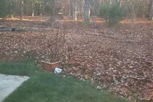 160 Winsome Forest Dr, Nebo, NC 28761 - Photo 40