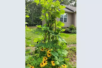 160 Winsome Forest Drive, Nebo, NC 28761 - Photo 46