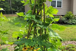 160 Winsome Forest Dr, Nebo, NC 28761 - Photo 46