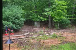 160 Winsome Forest Dr, Nebo, NC 28761 - Photo 36