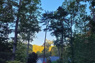 160 Winsome Forest Dr, Nebo, NC 28761 - Photo 42