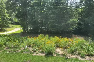 160 Winsome Forest Dr, Nebo, NC 28761 - Photo 34