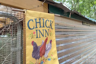 123 Deer Hill Lane, Weaverville, NC 28787 - Photo 16