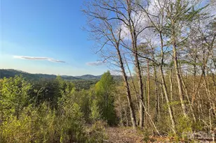 45 Woodgate Dr, Bostic, NC 28018 - Photo 1