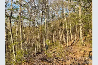 45 Woodgate Drive, Bostic, NC 28018 - Photo 6