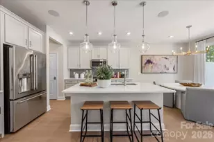 183 Landy St, Fort Mill, SC 29715 - Photo 8