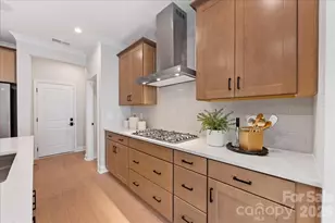 189 Landy St, Fort Mill, SC 29715 - Photo 12