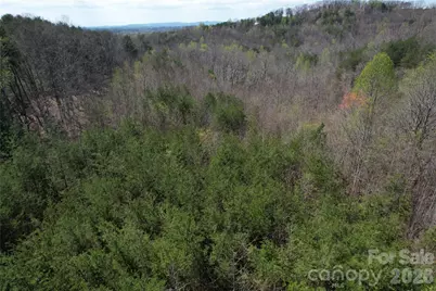 335 Woodrow Hoyle Road, Casar, NC 28020 - Photo 26
