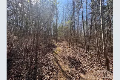 335 Woodrow Hoyle Road, Casar, NC 28020 - Photo 20