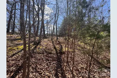 335 Woodrow Hoyle Road, Casar, NC 28020 - Photo 18