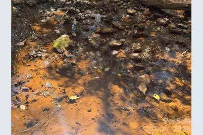 335 Woodrow Hoyle Road, Casar, NC 28020 - Photo 4