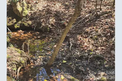 335 Woodrow Hoyle Road, Casar, NC 28020 - Photo 2