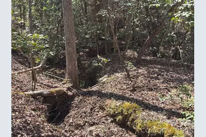 335 Woodrow Hoyle Road, Casar, NC 28020 - Photo 6