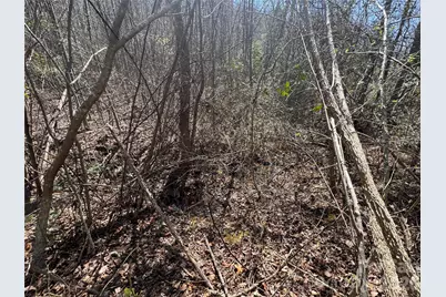 335 Woodrow Hoyle Road, Casar, NC 28020 - Photo 14