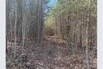 335 Woodrow Hoyle Road, Casar, NC 28020 - Photo 24