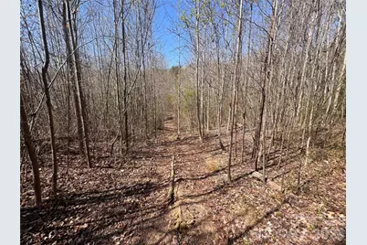 335 Woodrow Hoyle Road, Casar, NC 28020 - Photo 16