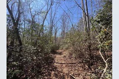 335 Woodrow Hoyle Road, Casar, NC 28020 - Photo 10