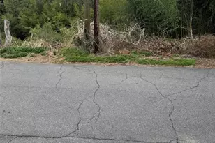 38 Belleair Rd, Asheville, NC 28806 - Photo 1