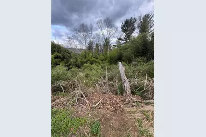 38 Belleair Road, Asheville, NC 28806 - Photo 2