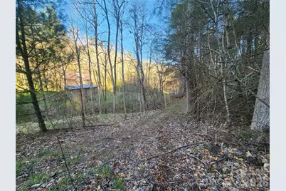 1025 Chandler Cove Road, Marshall, NC 28753 - Photo 44