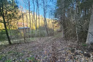 1025 Chandler Cove Rd, Marshall, NC 28753 - Photo 44