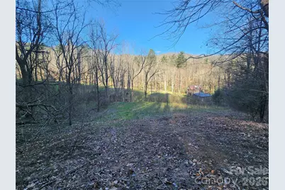 1025 Chandler Cove Road, Marshall, NC 28753 - Photo 46