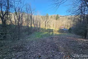 1025 Chandler Cove Rd, Marshall, NC 28753 - Photo 46