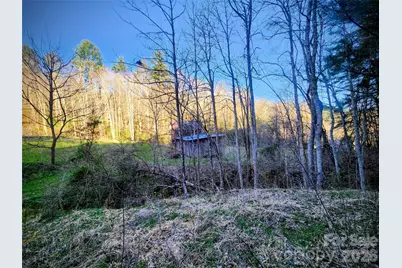 1025 Chandler Cove Road, Marshall, NC 28753 - Photo 36