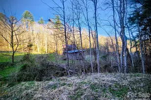 1025 Chandler Cove Rd, Marshall, NC 28753 - Photo 36