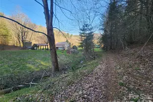 1025 Chandler Cove Rd, Marshall, NC 28753 - Photo 42