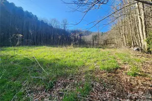 1025 Chandler Cove Rd, Marshall, NC 28753 - Photo 30