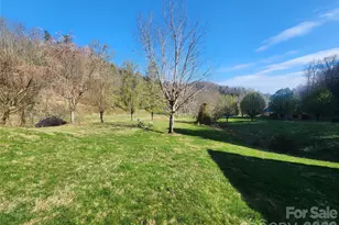 1025 Chandler Cove Rd, Marshall, NC 28753 - Photo 24