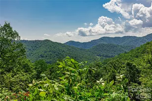 460 Briggs Cove Rd, Robbinsville, NC 28771 - Photo 6