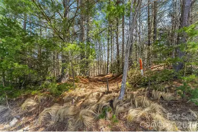 121 Lake Crest Drive #lot 37 & 36, Nebo, NC 28761 - Photo 12